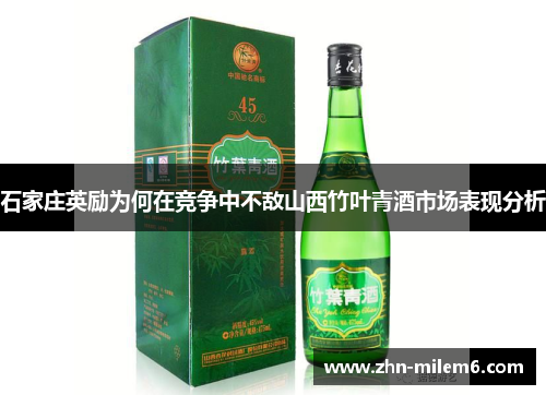 石家庄英励为何在竞争中不敌山西竹叶青酒市场表现分析