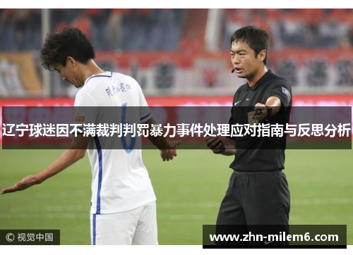 辽宁球迷因不满裁判判罚暴力事件处理应对指南与反思分析